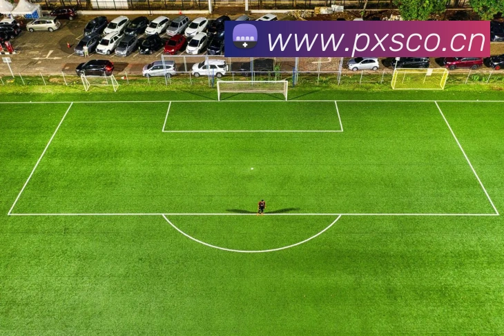 emc易倍官网平台生态图